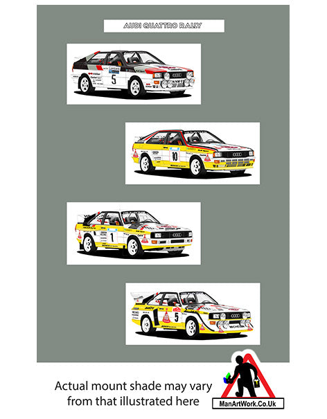 Audi Quattro Group B Rally : A1, A2, S1, S1 E2
