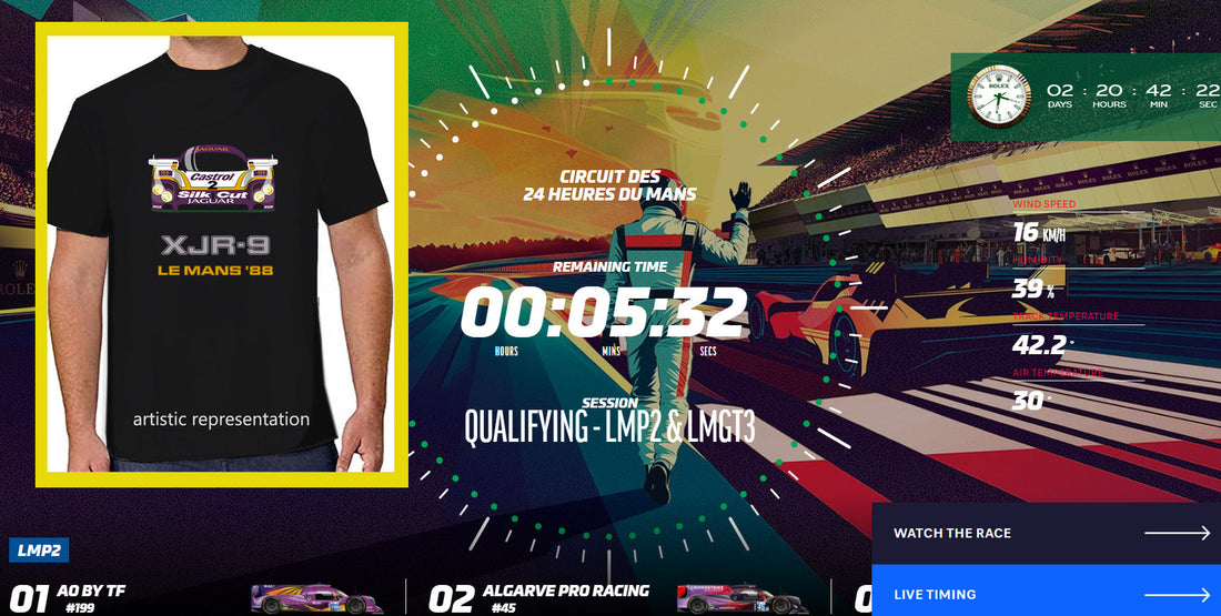 Man Art Work at Le Mans