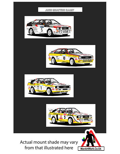 Audi Quattro Group B Rally : A1, A2, S1, S1 E2